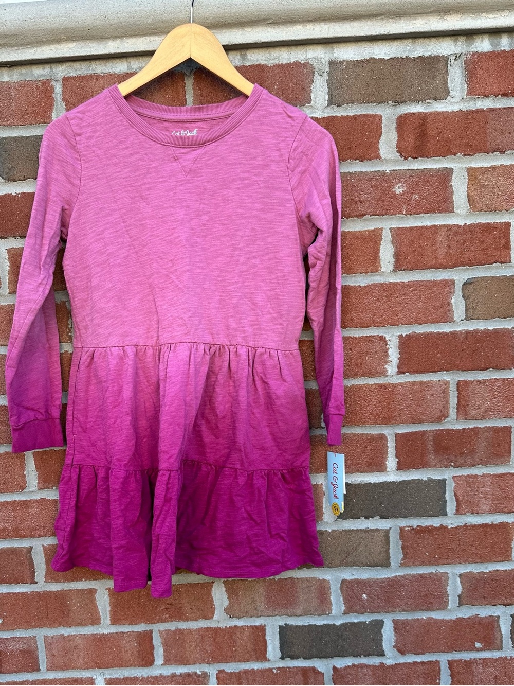 Cat & Jack Girls' Pink Ombre Long-Sleeve Tiered Dress size L